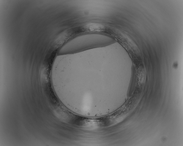 X0000116860316201001191707