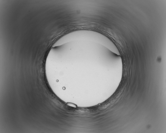 X0000116860317201001191707