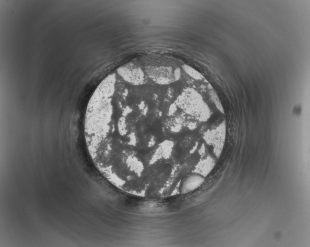 X0000116860319201001191707