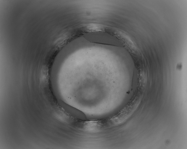 X0000116860320201001191707