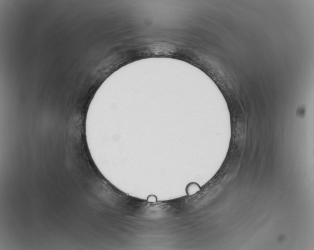 X0000116860321201001191707