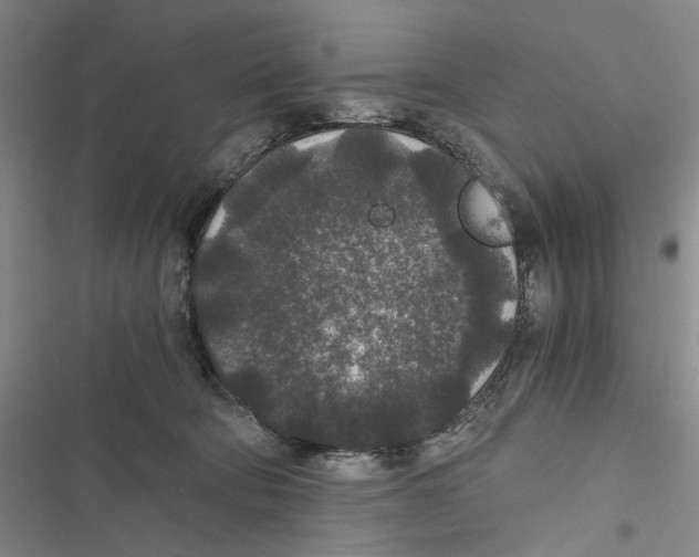 X0000116860322201001191707