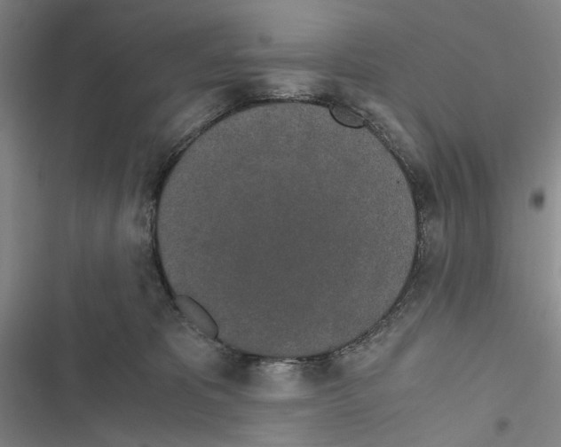 X0000116860325201001191707