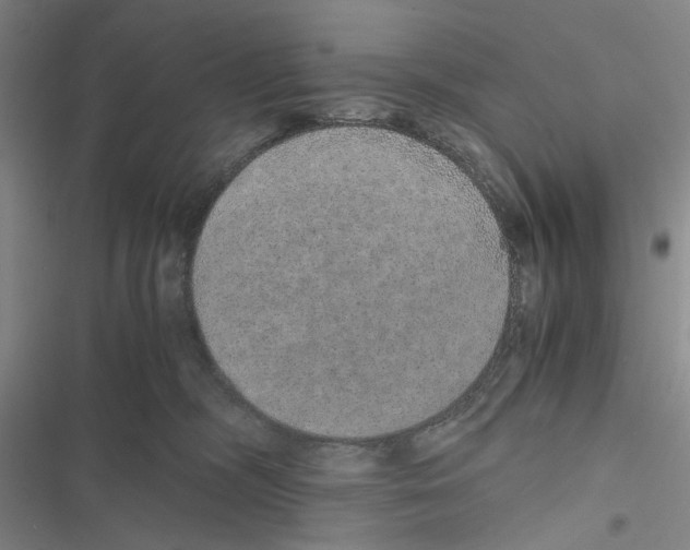 X0000116860326201001191707