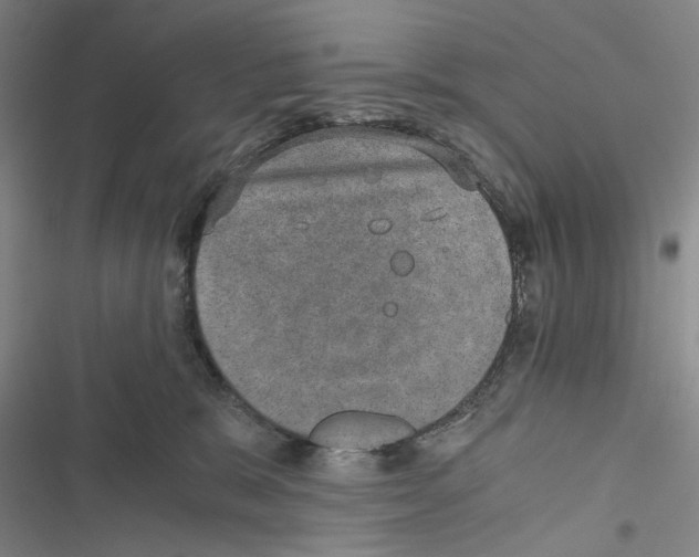 X0000116860327201001191707