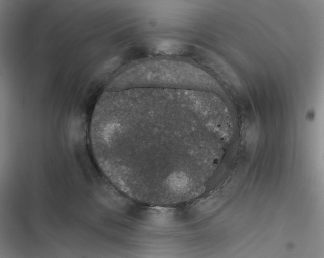 X0000116860328201001191707