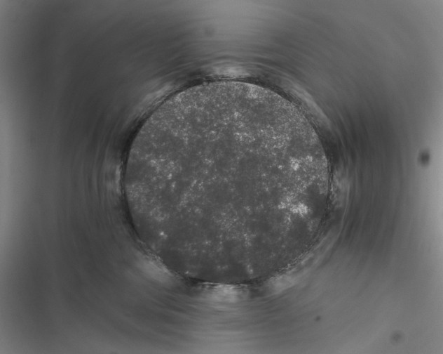 X0000116860330201001191707