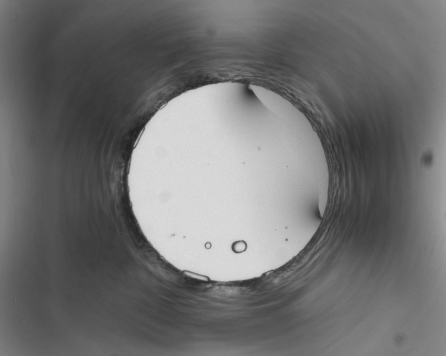 X0000116860332201001191707