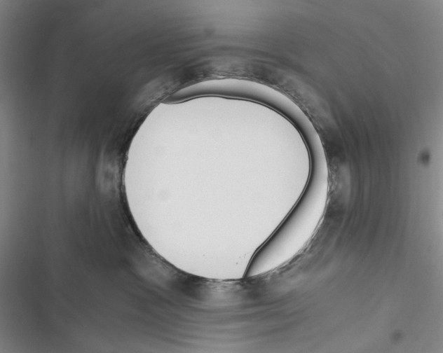 X0000116860333201001191707