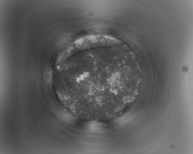 X0000116860336201001191707