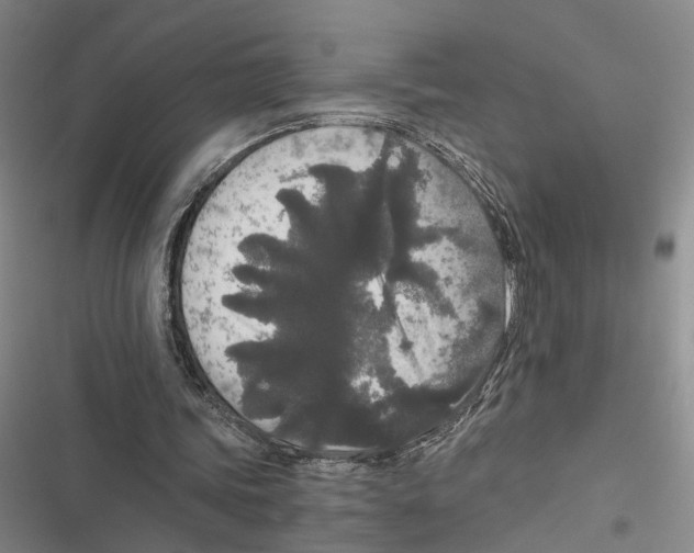 X0000116860339201001191706