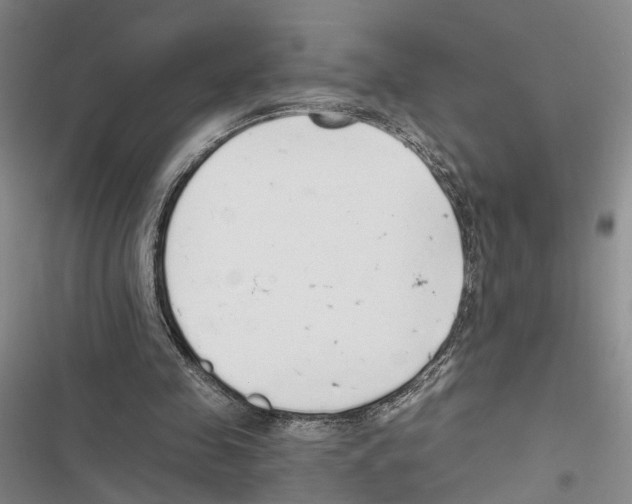 X0000116860341201001191706