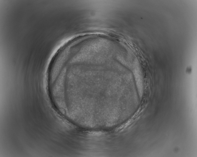 X0000116860342201001191706