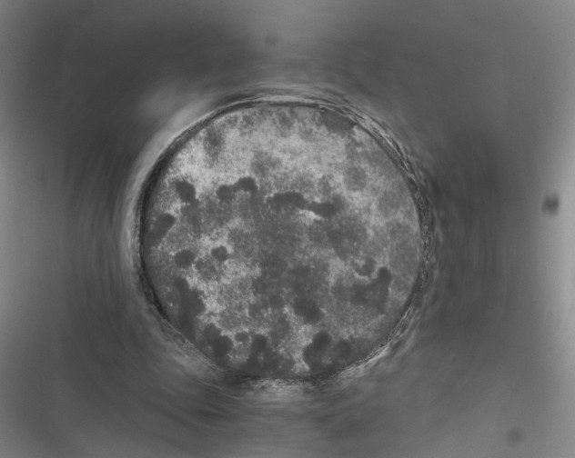 X0000116860343201001191706