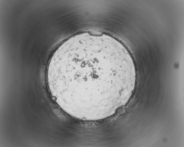 X0000116860345201001191706