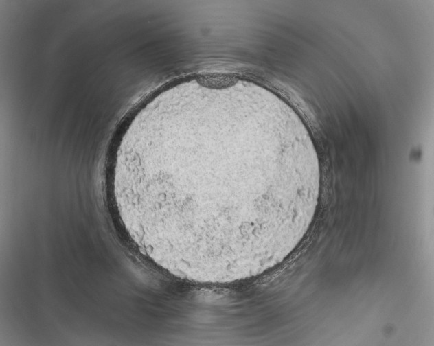 X0000116860346201001191706