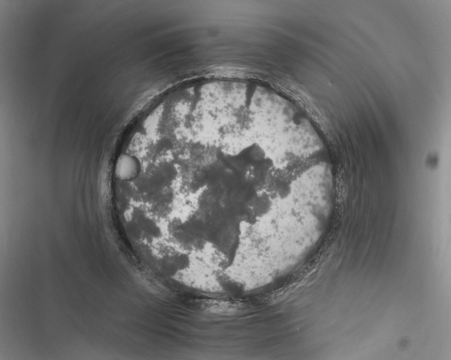 X0000116860347201001191706