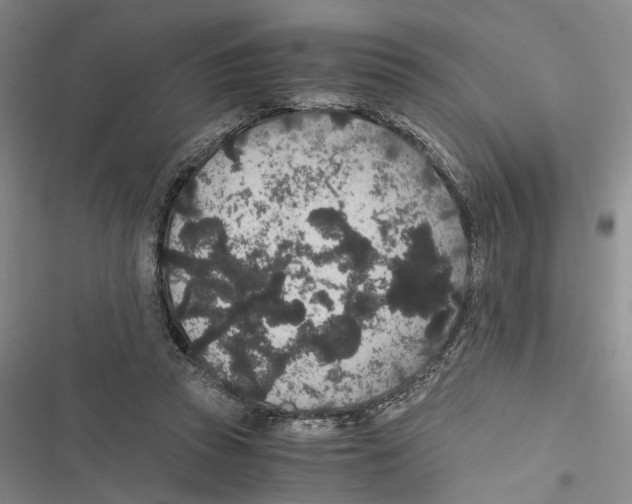 X0000116860353201001191706