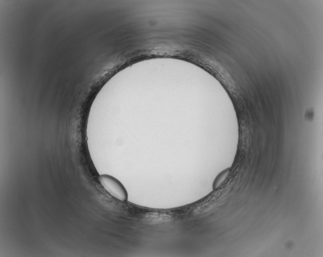 X0000116860354201001191706