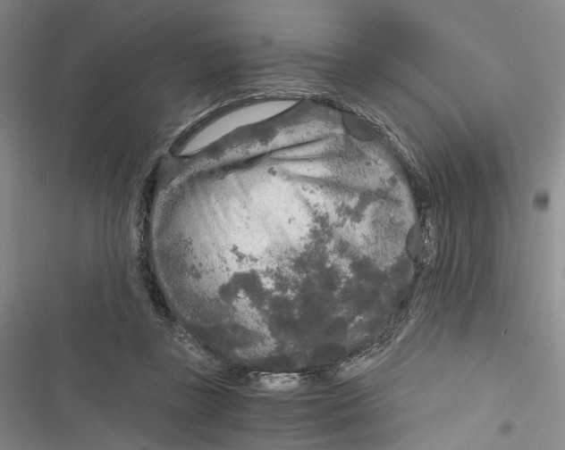 X0000116860355201001191706