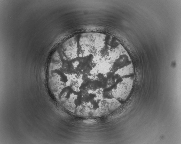 X0000116860357201001191706