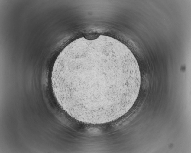 X0000116860358201001191706