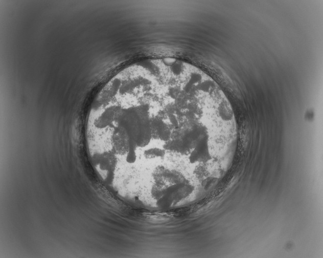 X0000116860359201001191706