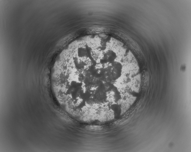 X0000116860361201001191706