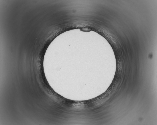 X0000116860362201001191706