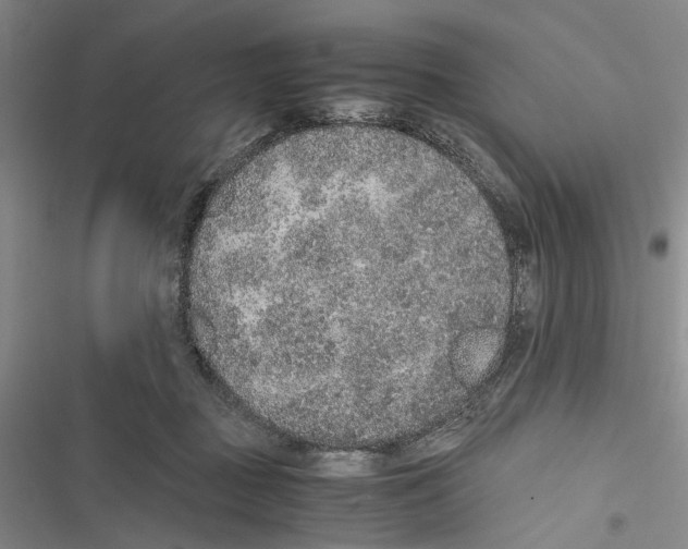 X0000116860363201001191706