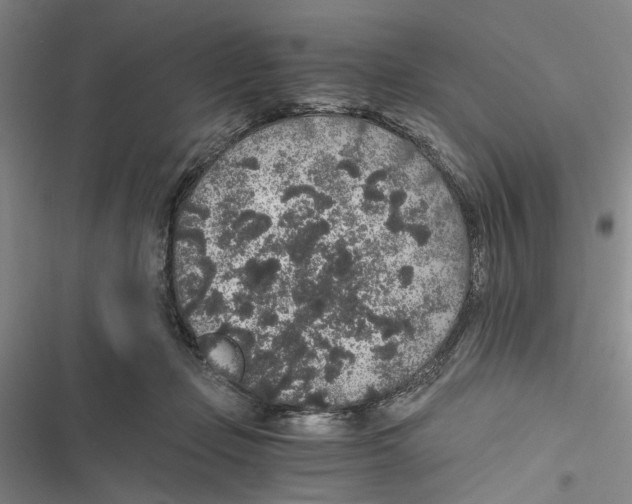 X0000116860365201001191706