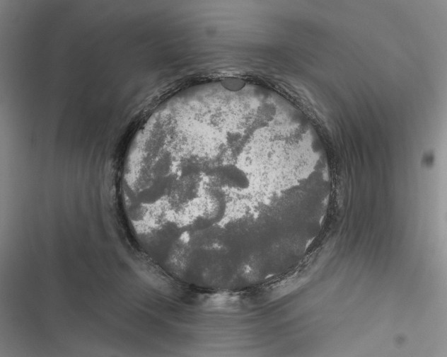 X0000116860366201001191706