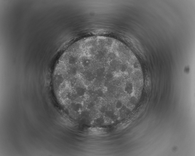 X0000116860367201001191706