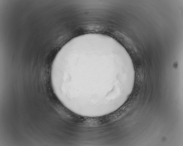 X0000116860369201001191706