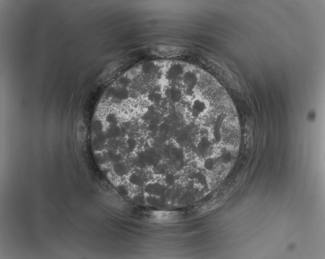 X0000116860371201001191707