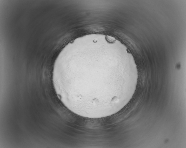 X0000116860373201001191707