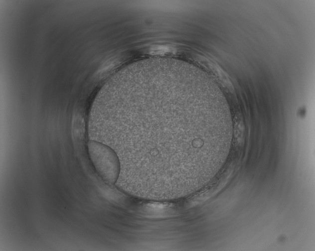 X0000116860375201001191707