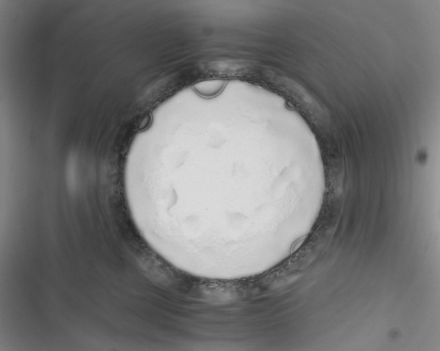 X0000116860377201001191707