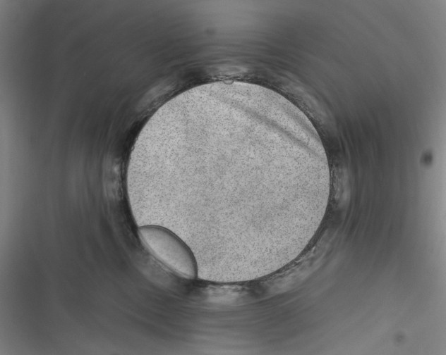 X0000116860378201001191707