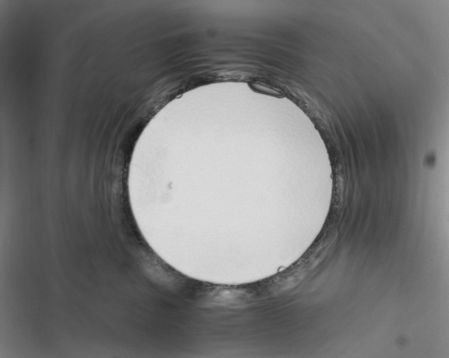 X0000116860379201001191707