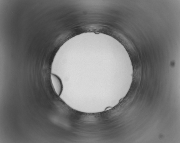 X0000116860381201001191707