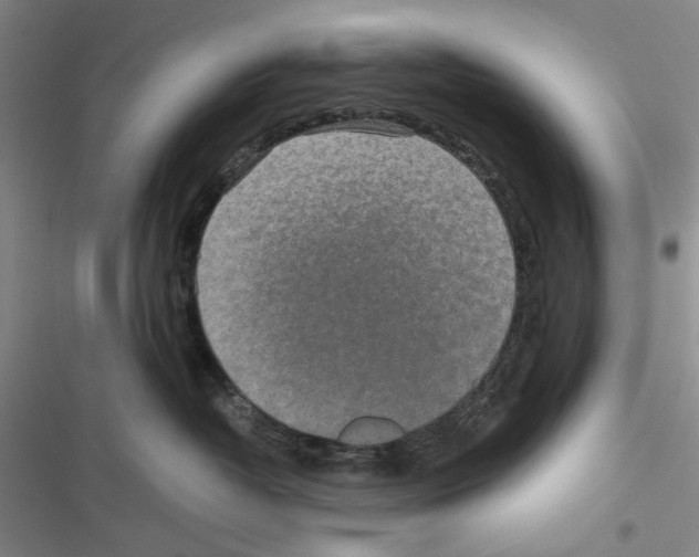 X0000116860382201001191707