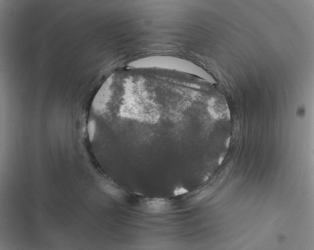 X0000116860383201001191707