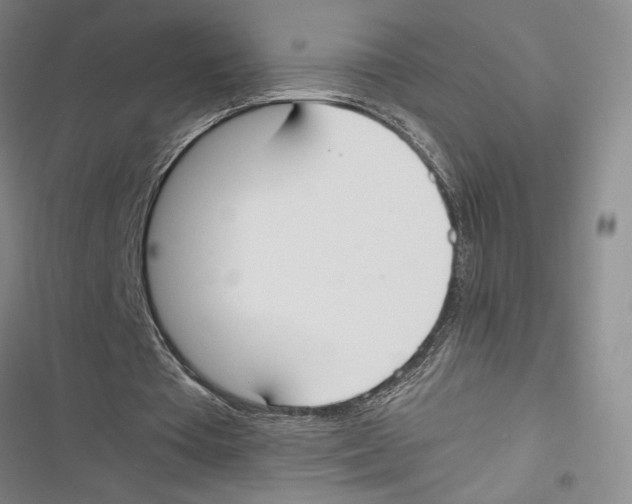 X0000116860385201001191706