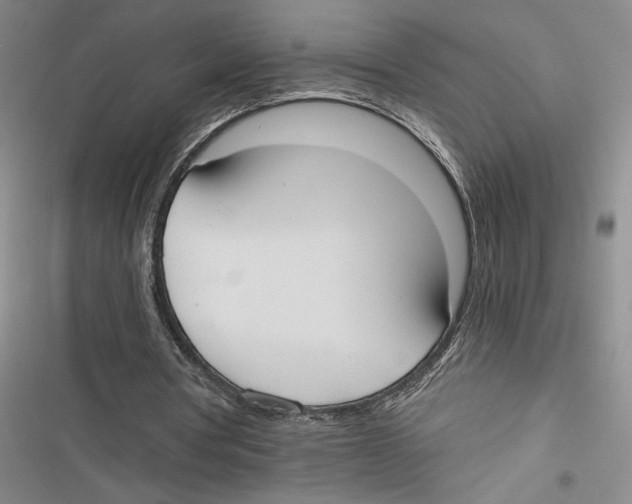 X0000116860386201001191706