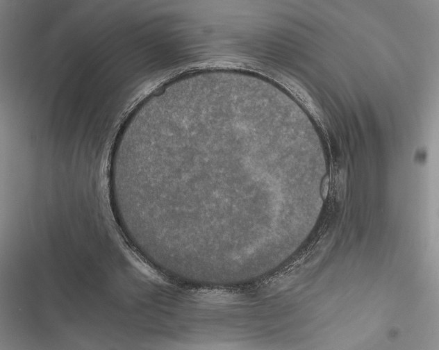 X0000116860389201001191706