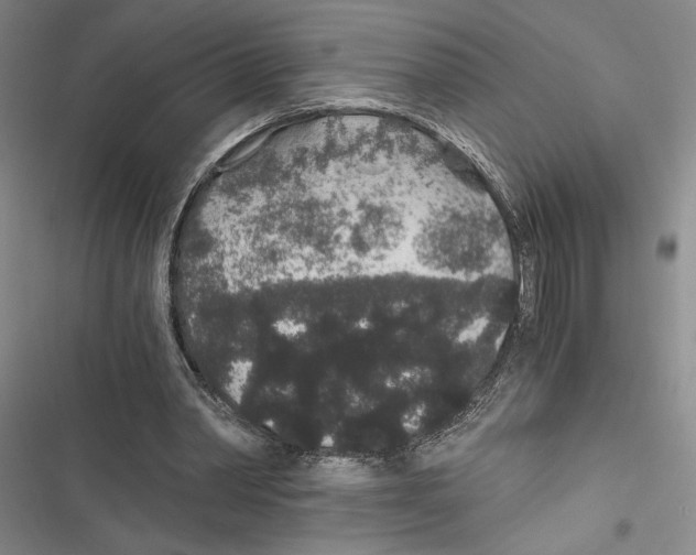 X0000116860390201001191706