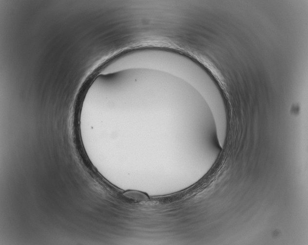 X0000116860391201001191706