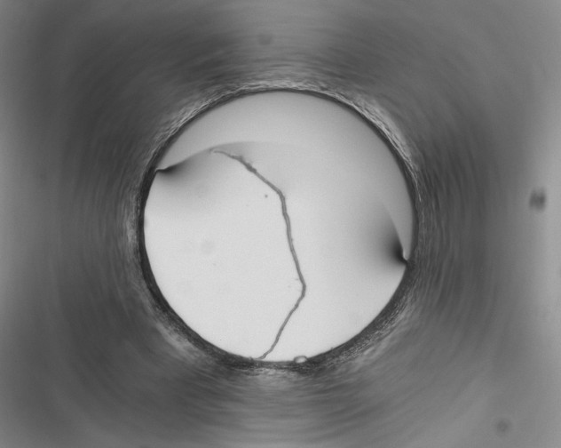 X0000116860393201001191706