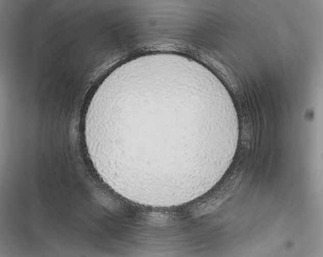 X0000116860394201001191706